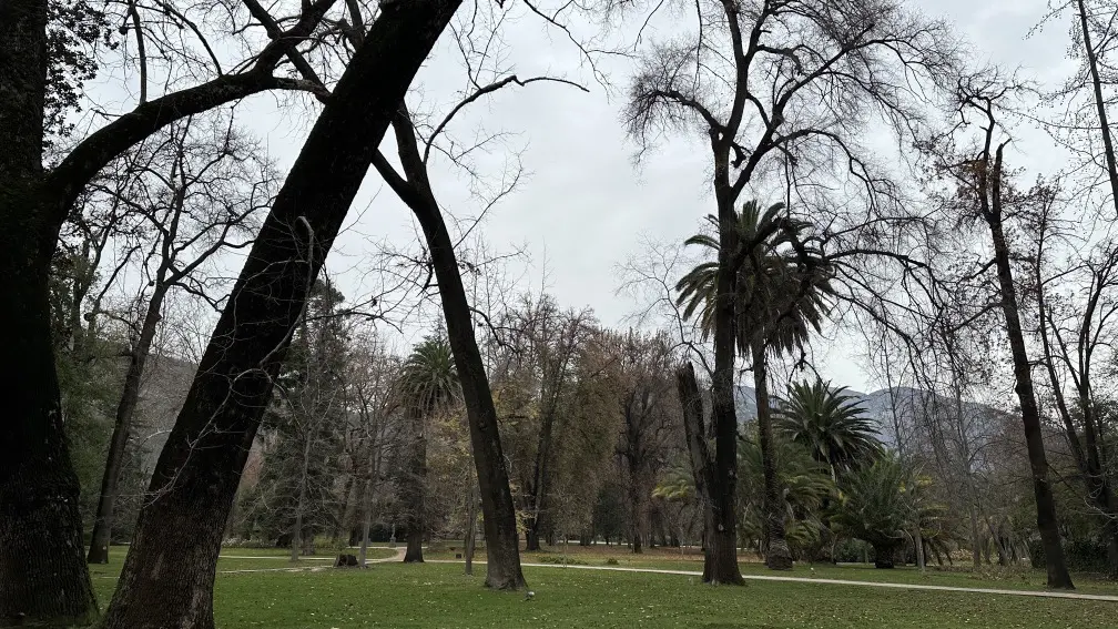 Las Majadas110.jpg