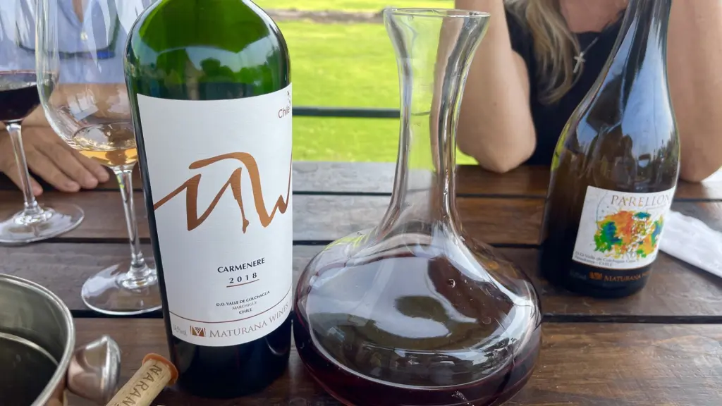 Maturana Winery – a vinícola de vinhos naturais no Valle de Colchagua, Chile 8 Maturana Winery10