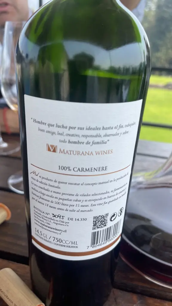 Maturana Winery – a vinícola de vinhos naturais no Valle de Colchagua, Chile 11 Maturana Winery11
