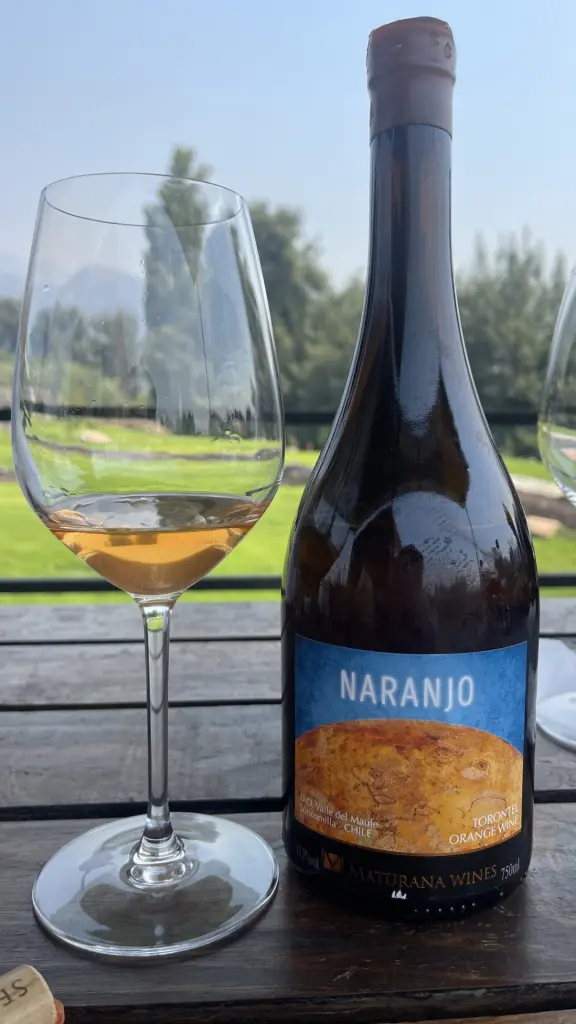 Maturana Winery – a vinícola de vinhos naturais no Valle de Colchagua, Chile 10 Maturana Winery8