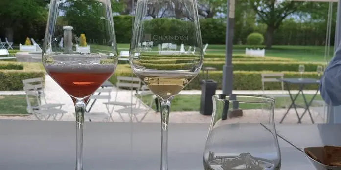 Vinícolas em Mendoza, na Argentina: quais visitar? 10 Mendoza chandon4.jpg