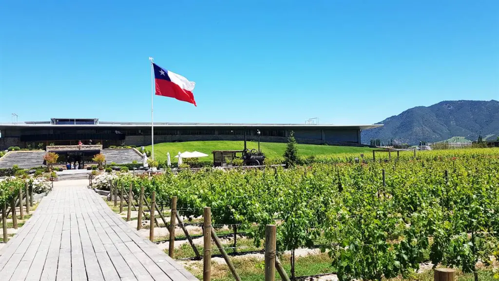 Chile tem 6 vinícolas na lista das 50 melhores do mundo e nós já visitamos todas 5 Montes539