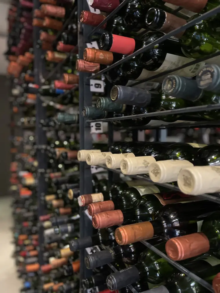 Os melhores lugares para tomar vinho no Chile 11 Onde tomar vinho chile9