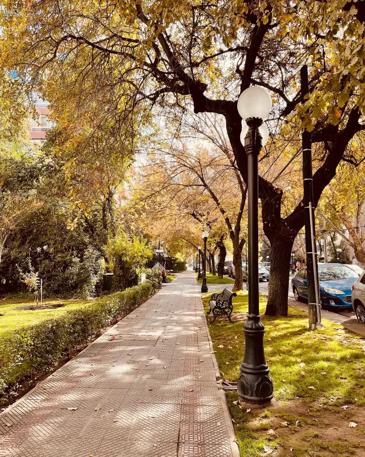 Chile: requisitos e documentos necessários para entrar no país (Atualizado 2026) 6 Outono no chile1 2.jpg