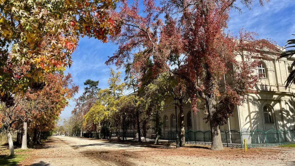 Feriados no Chile: confira o calendário mês a mês 5 Outono no chile490 2