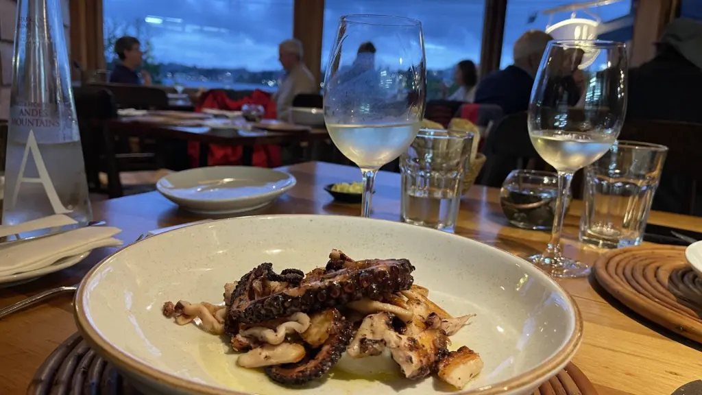 Puerto Varas: melhores hotéis e restaurantes que você precisa conhecer 16 Puerto Varas19
