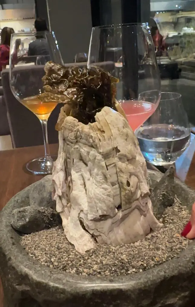 Restaurante Boragó em Santiago: gastronomia chilena premiada entre as melhores do mundo 10 Restaurante Borago13.jpeg