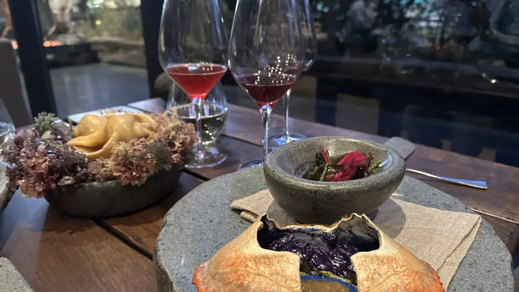 Restaurante Boragó em Santiago: gastronomia chilena premiada entre as melhores do mundo 8 Restaurante Borago8