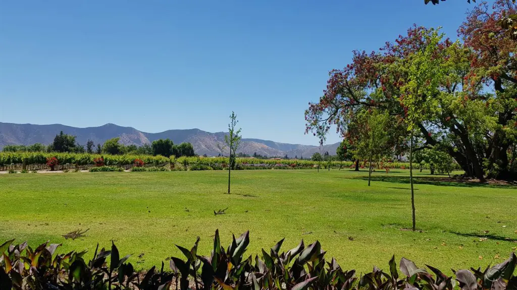 Vinícola Undurraga: tour e degustação em uma das mais famosas do Chile 1 Undurraga11