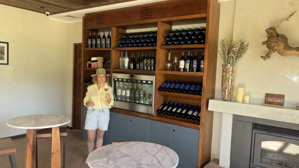 Roteiro em Colchagua: 2 dias visitando vinícolas premiadas no Chile 4 Valle Colchagua1