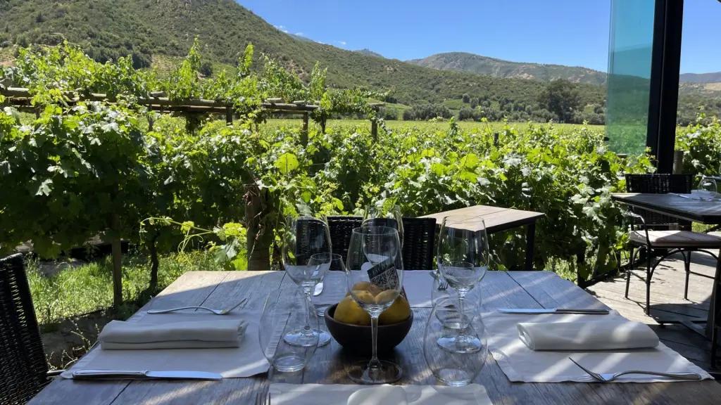 Roteiro em Colchagua: 2 dias visitando vinícolas premiadas no Chile 11 Valle Colchagua12