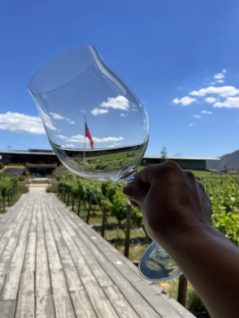 Roteiro em Colchagua: 2 dias visitando vinícolas premiadas no Chile 13 Valle Colchagua16 rotated 1