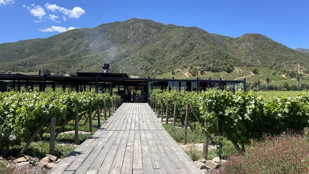Roteiro em Colchagua: 2 dias visitando vinícolas premiadas no Chile 16 Valle Colchagua17.jpg