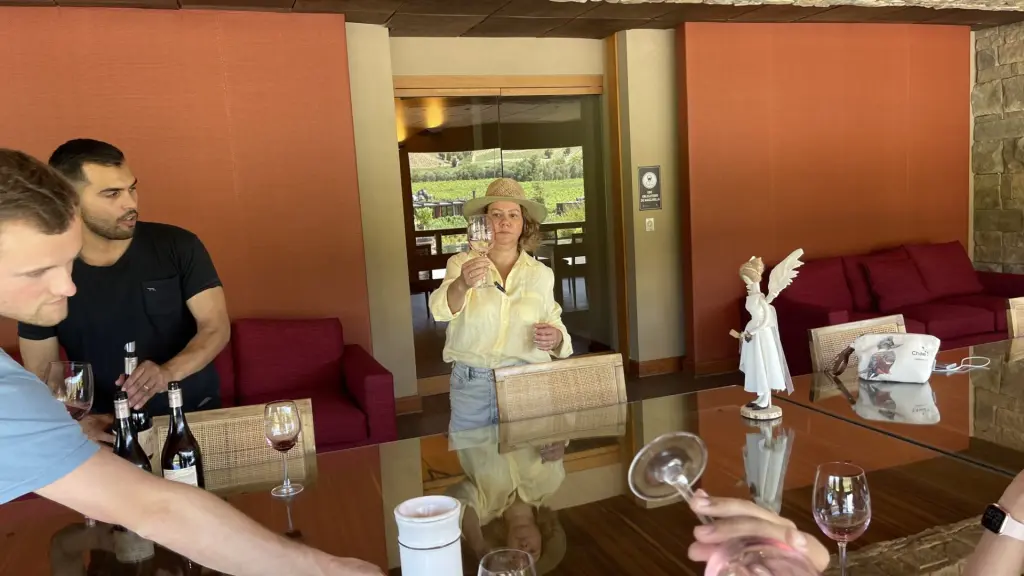 Roteiro em Colchagua: 2 dias visitando vinícolas premiadas no Chile 14 Valle Colchagua19