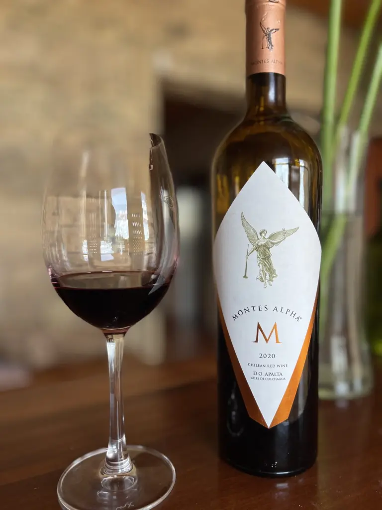 Top 10 melhores vinícolas que já visitamos no Chile! 11 Valle Colchagua22