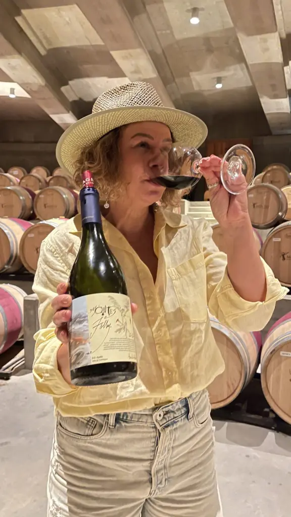 Top 10 melhores vinícolas que já visitamos no Chile! 10 Valle Colchagua24