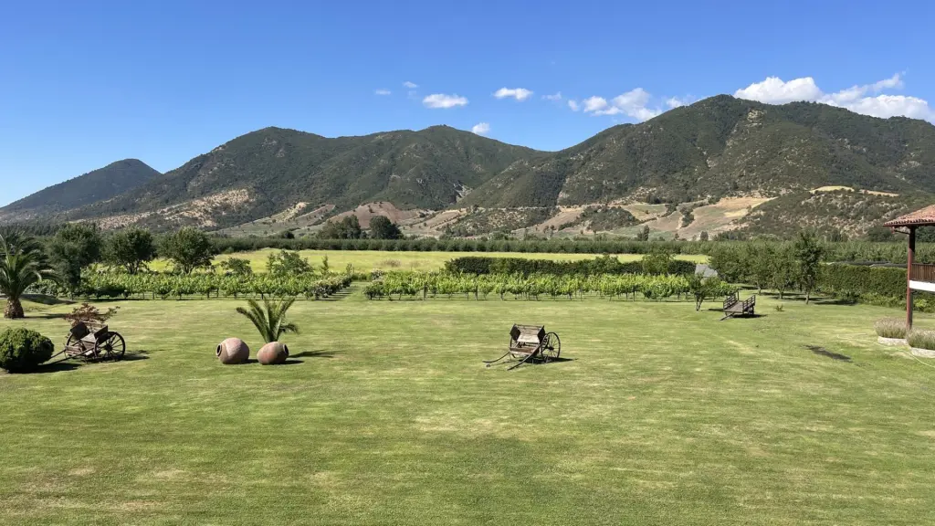 Roteiro em Colchagua: 2 dias visitando vinícolas premiadas no Chile 30 Valle Colchagua28