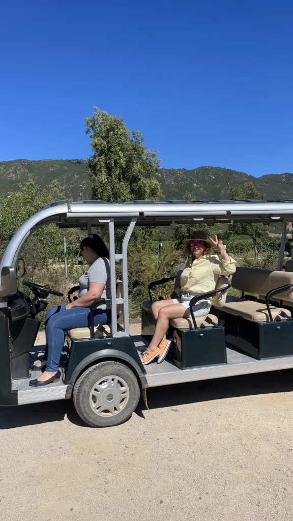 Roteiro em Colchagua: 2 dias visitando vinícolas premiadas no Chile 9 Valle Colchagua3 1