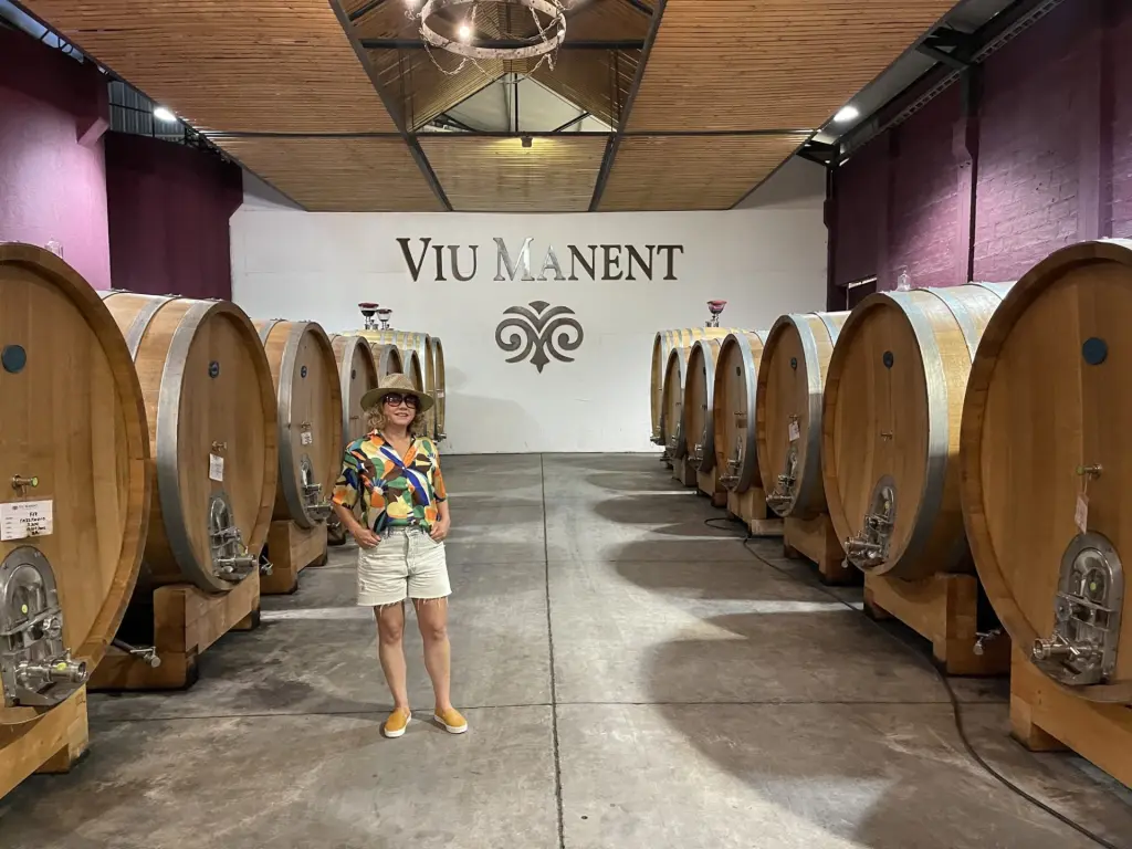 Roteiro em Colchagua: 2 dias visitando vinícolas premiadas no Chile 18 Valle Colchagua35 1