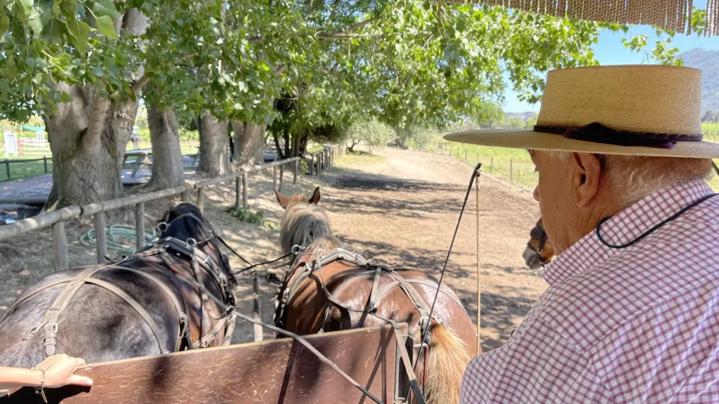 Roteiro em Colchagua: 2 dias visitando vinícolas premiadas no Chile 19 Valle Colchagua36 1