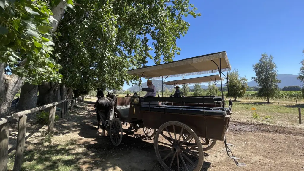 Roteiro em Colchagua: 2 dias visitando vinícolas premiadas no Chile 21 Valle Colchagua37