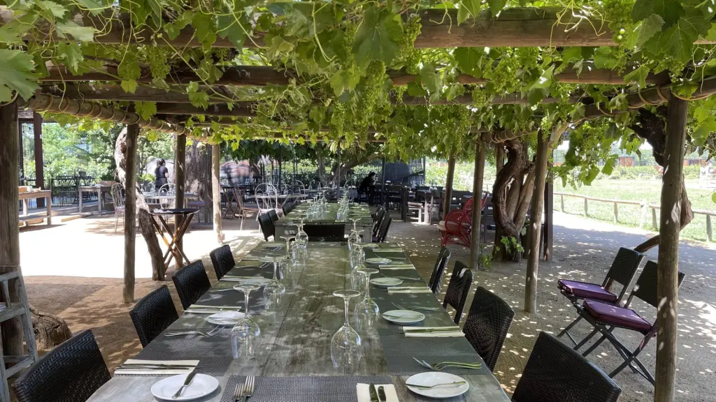Roteiro em Colchagua: 2 dias visitando vinícolas premiadas no Chile 22 Valle Colchagua38
