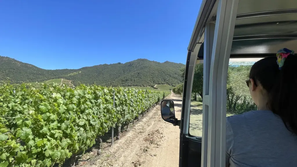 Roteiro em Colchagua: 2 dias visitando vinícolas premiadas no Chile 5 Valle Colchagua4