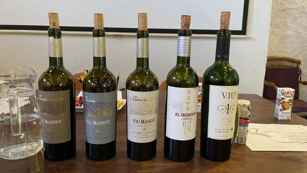Roteiro em Colchagua: 2 dias visitando vinícolas premiadas no Chile 20 Valle Colchagua40