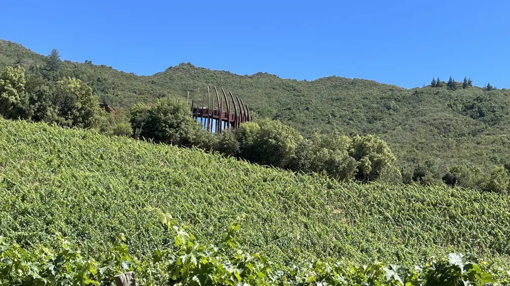 Roteiro em Colchagua: 2 dias visitando vinícolas premiadas no Chile 3 Valle Colchagua5 1.jpg