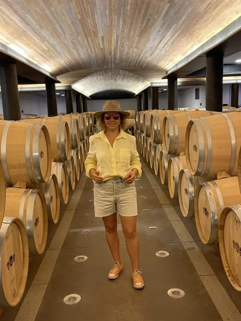 Roteiro em Colchagua: 2 dias visitando vinícolas premiadas no Chile 7 Valle Colchagua8 rotated 2