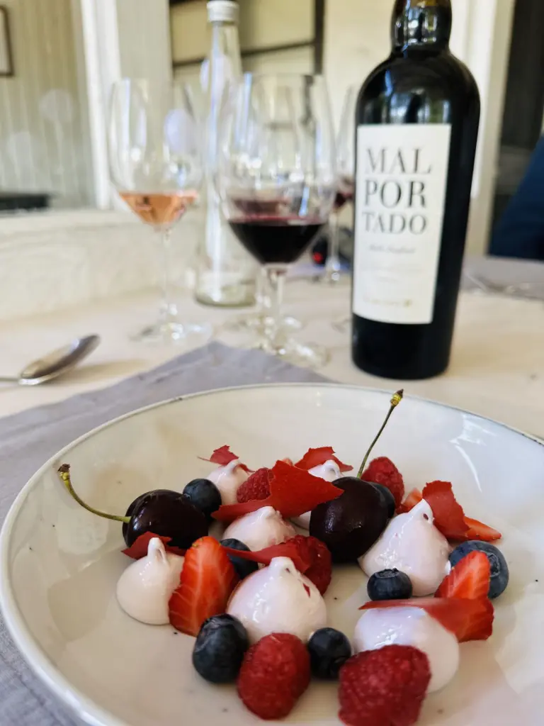 Valle Colchagua, Chile: melhores vinícolas, passeios e hospedagens 15 Valle colchagua10 1