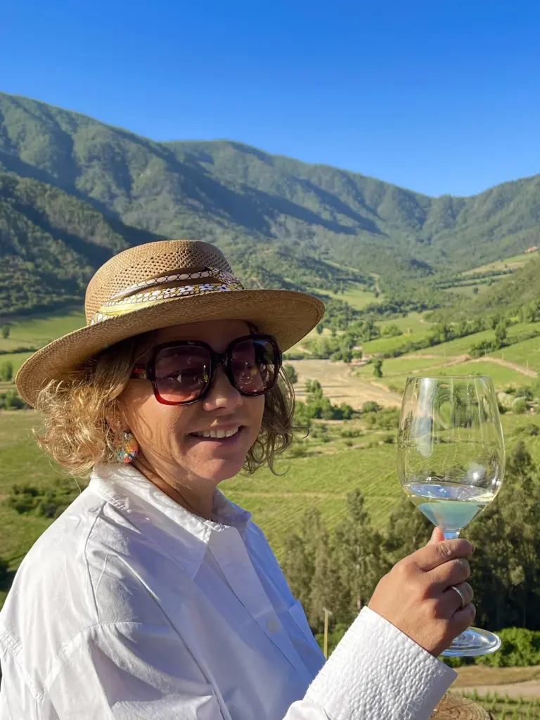 Top 10 melhores vinícolas que já visitamos no Chile! 2 Ventisquero