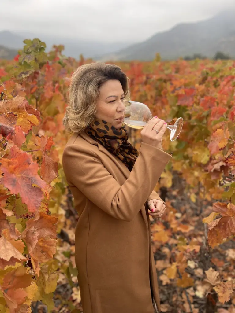 Top 10 melhores vinícolas que já visitamos no Chile! 16 Vik2