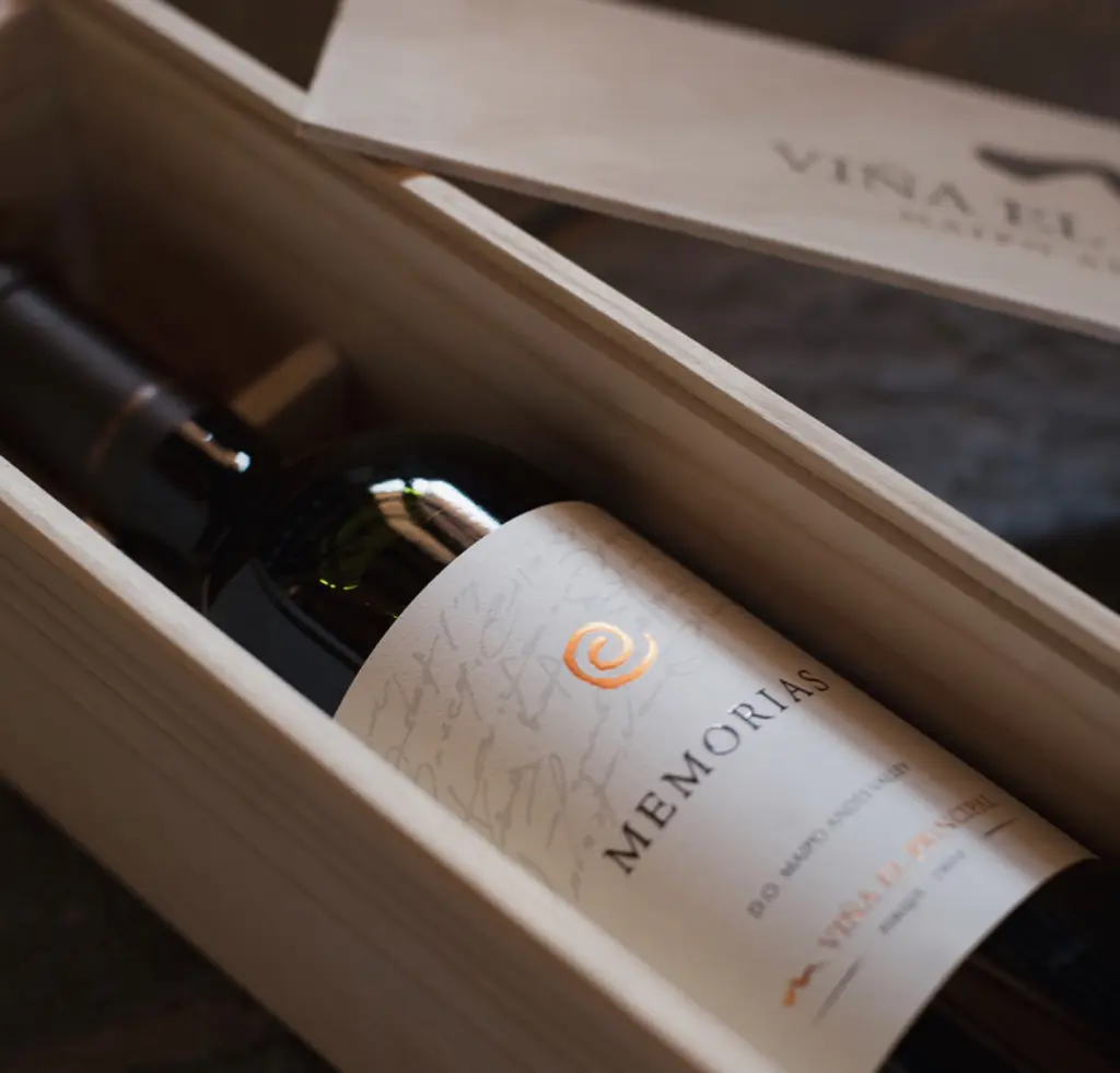 Vinhos chilenos1