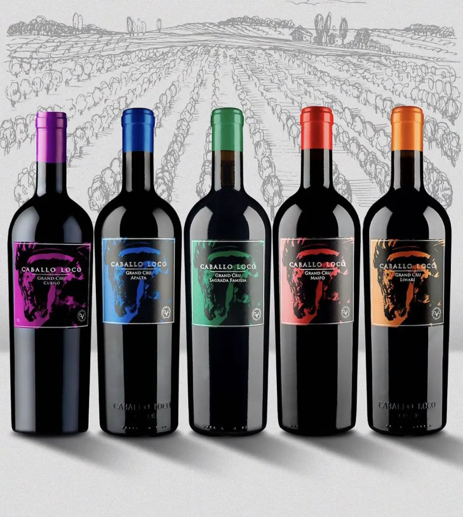 Vinhos chilenos10