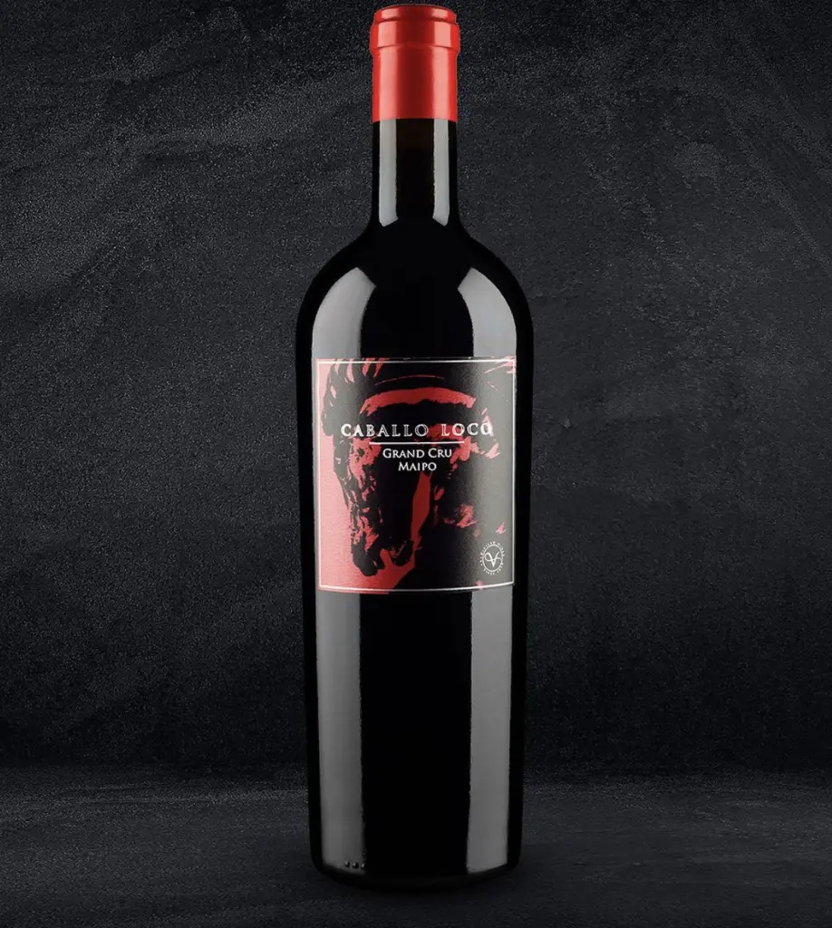 Vinhos chilenos11