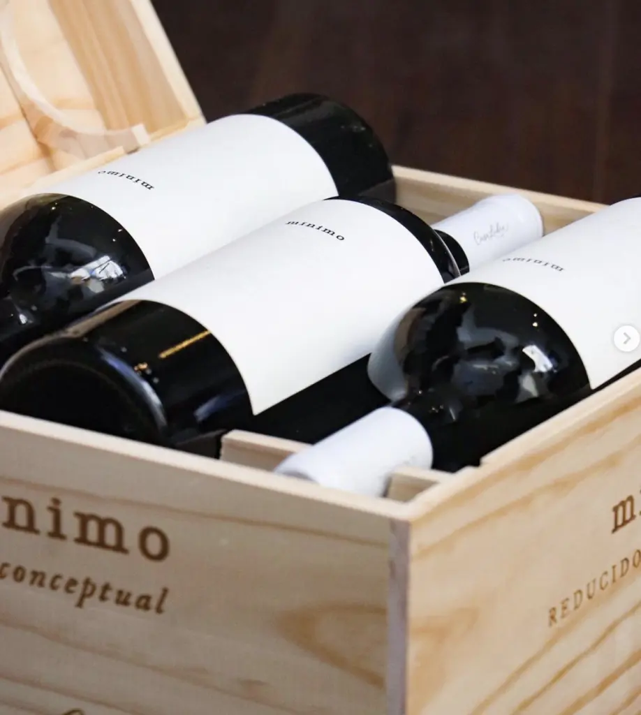 Vinhos chilenos12 1