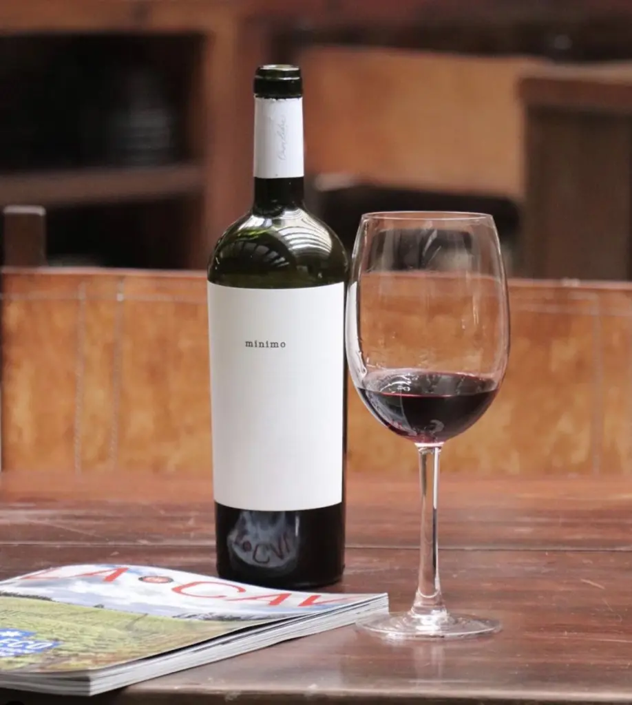 Vinhos chilenos13