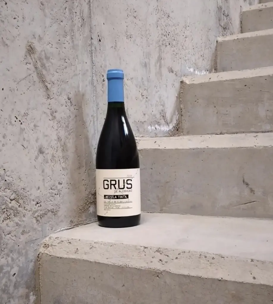 Vinhos chilenos14