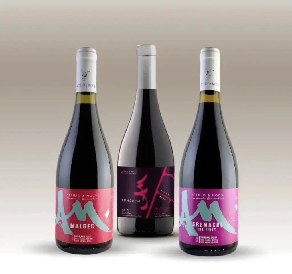 Vinhos chilenos16