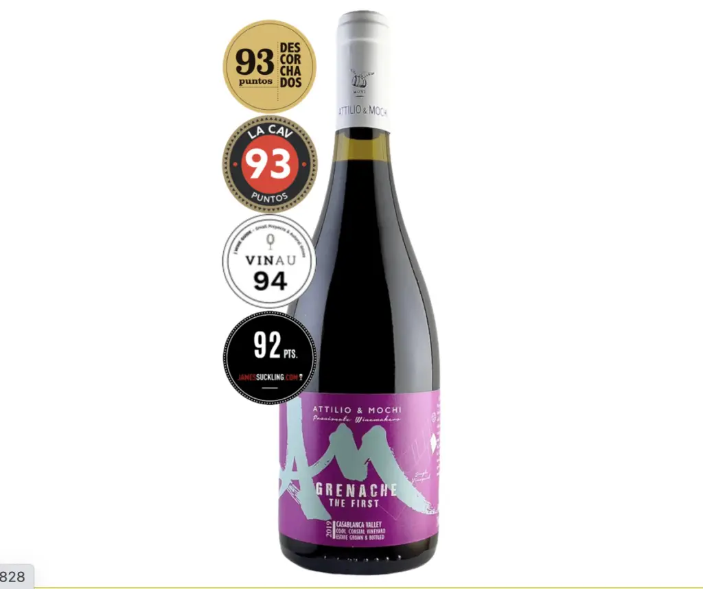 Vinhos chilenos17