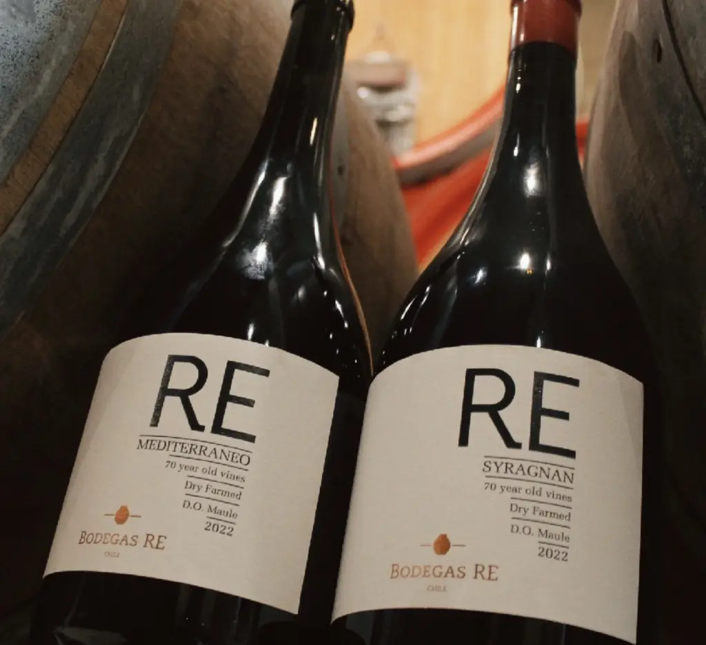 Vinhos chilenos18