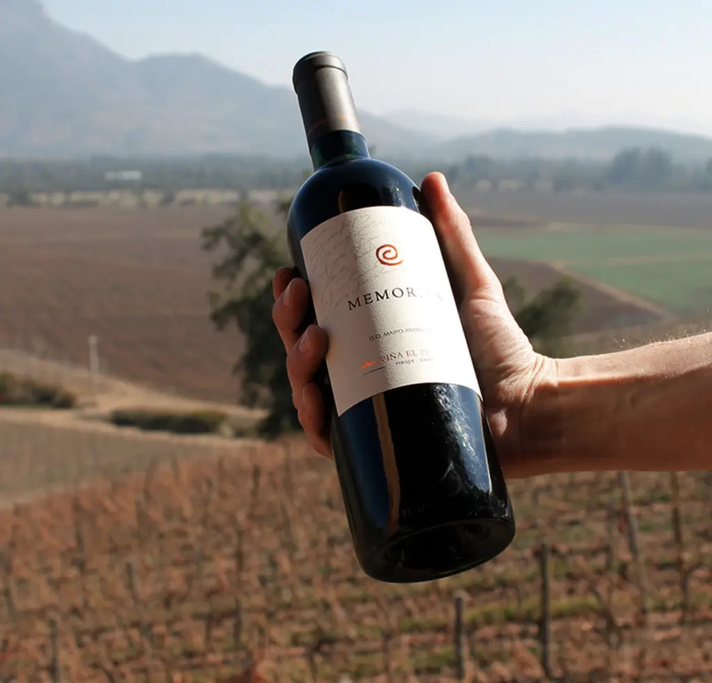 Vinhos chilenos2