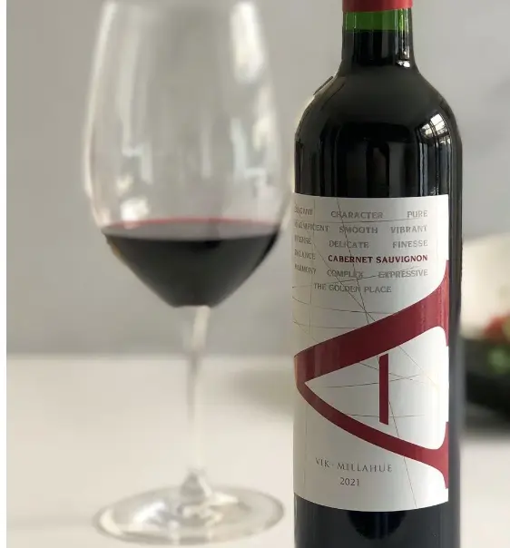 Vinhos chilenos21.jpg
