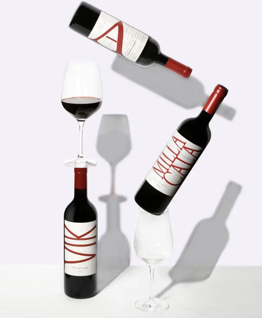 Vinhos chilenos4