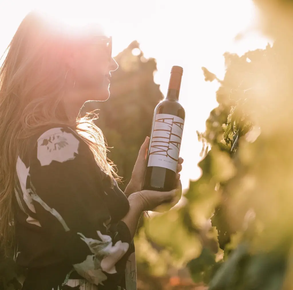 Vinhos chilenos5