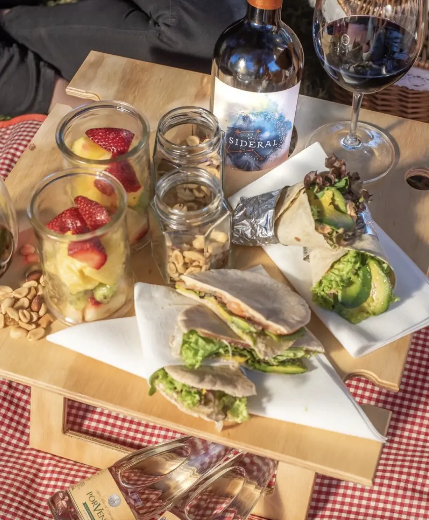 Vinhos chilenos7