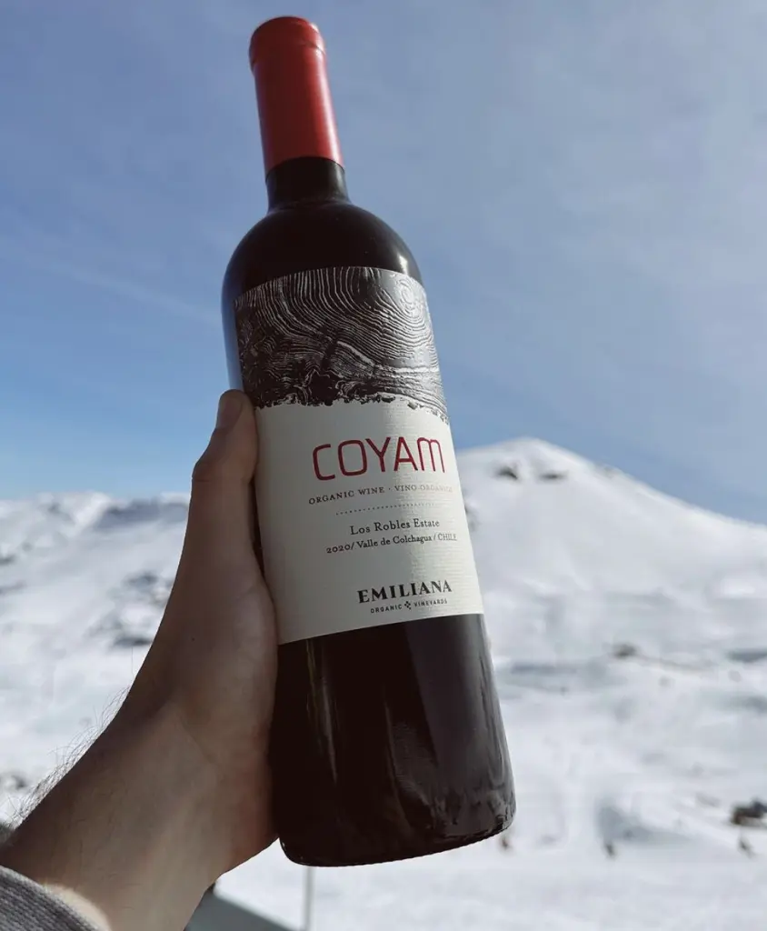 Vinhos chilenos8