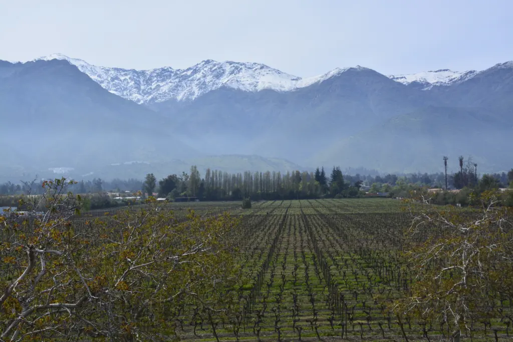 Temporada de neve no Chile 2023: tudo o que você precisa saber 12 Vinicola Aquitania5 2