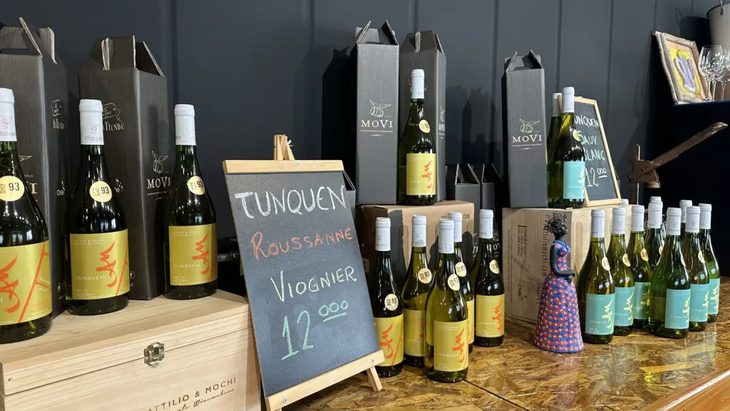 Attilio & Mochi: a vinícola dos brasileiros no Chile 7 Vinicola Atillio Mochi1